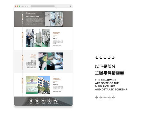 1688電商 產(chǎn)品詳情 產(chǎn)品主圖設(shè)計臨摹部分展示