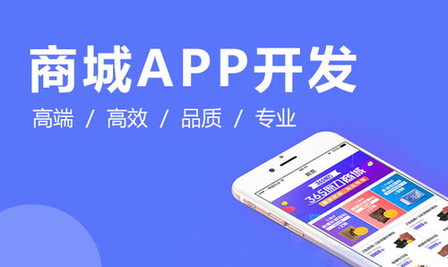 石家莊app開發(fā) 石家莊小程序開發(fā) 石家莊外包公司 河北專業(yè)的開發(fā)公司